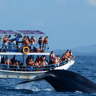 Beach Holiday Tours in Sri Lanka