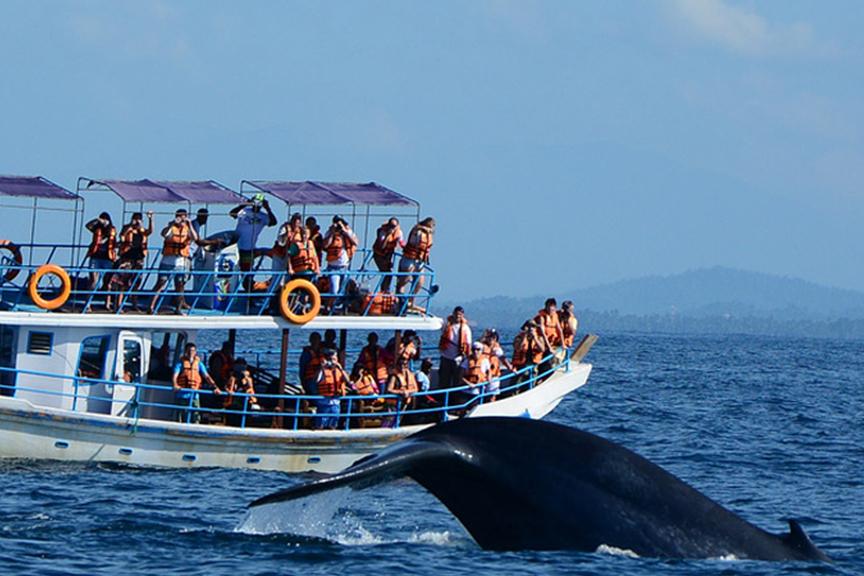 Beach Holiday Tours in Sri Lanka